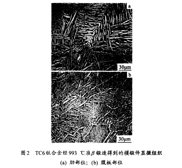 TC6鈦合金經993℃準β鍛造得到的模鍛件顯微組織(a) 肋部位；(b) 腹板部位