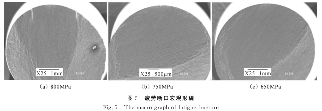 1635581656185319.jpg 5.jpg