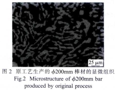 1687099384322815.jpg t2.jpg