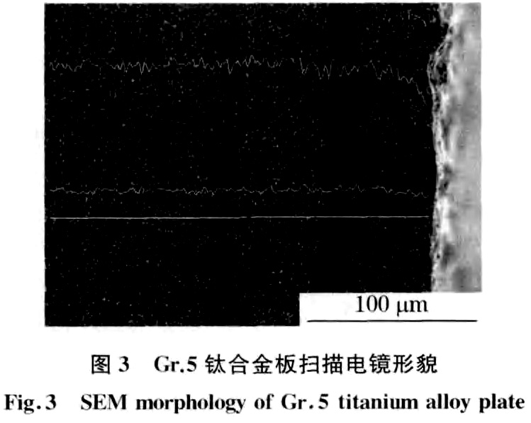 1687579773631656.jpg t3.jpg