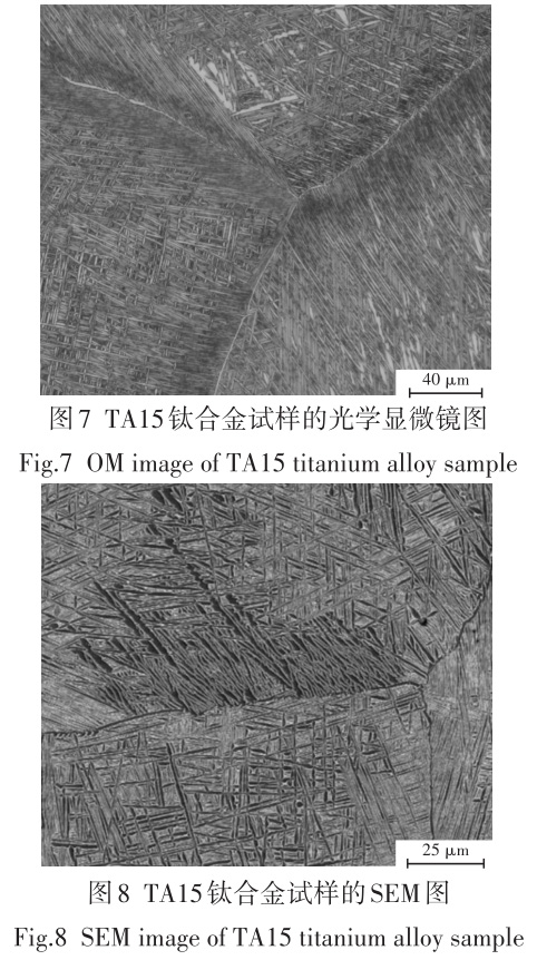 1694436848125067.jpg t7-8.jpg