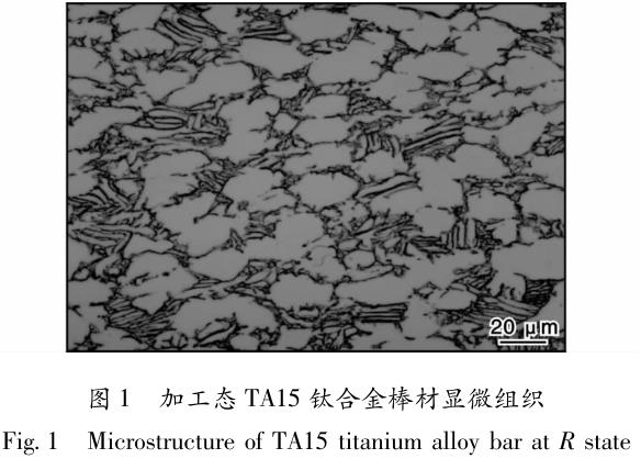 1694558213602064.jpg t1.jpg