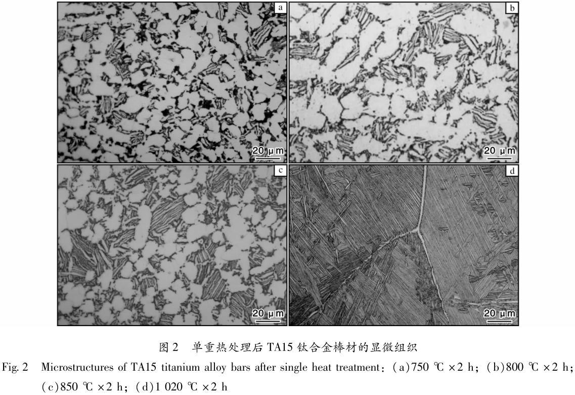 1694558229759986.jpg t2.jpg