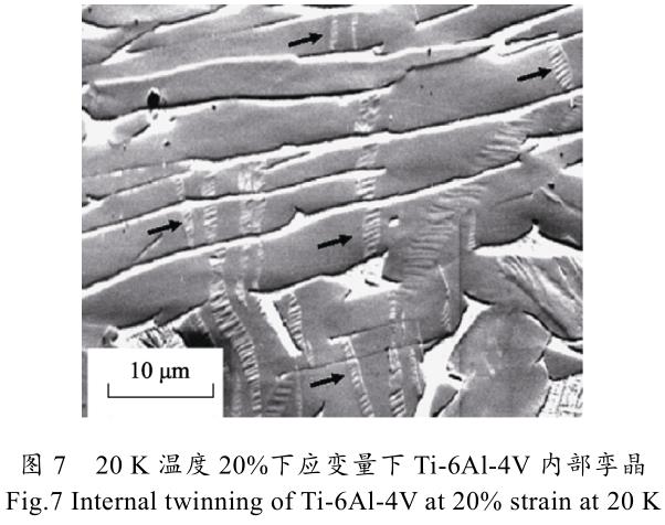 1699223151345210.jpg t7.jpg