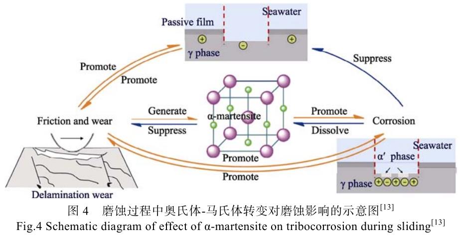 1700445515384566.jpg t4.jpg