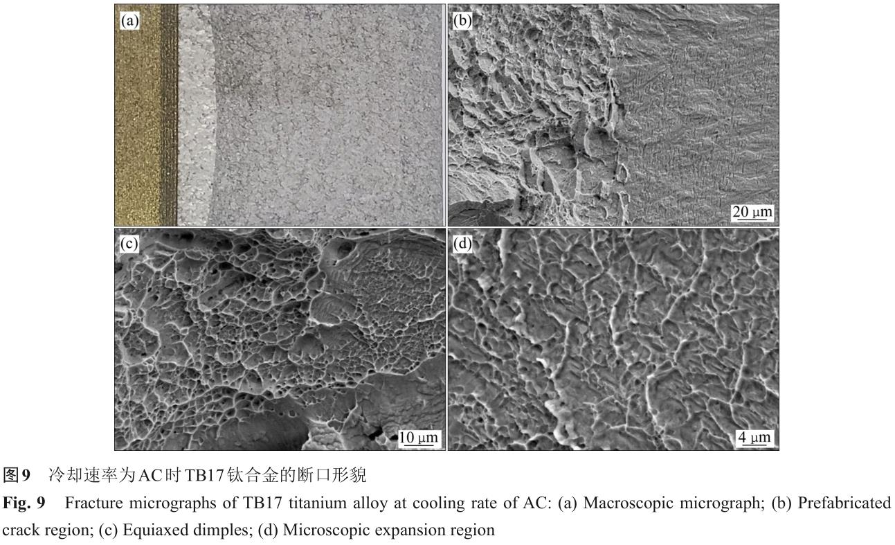 1701442282836434.jpg t9.jpg