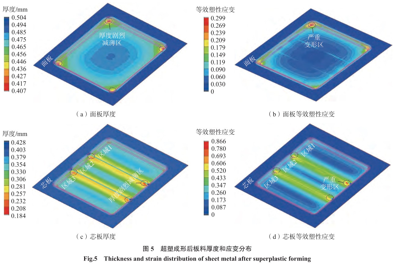 1702020176720355.jpg t5.jpg