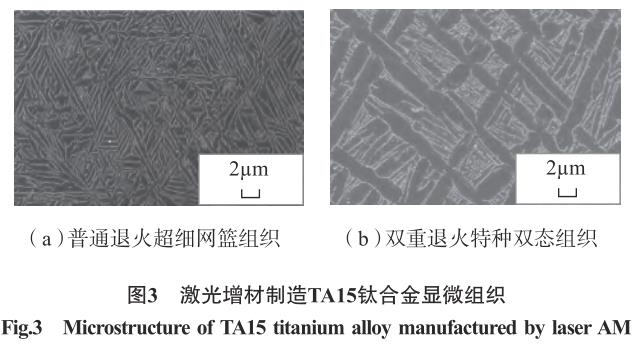 1705706553547671.jpg t3.jpg