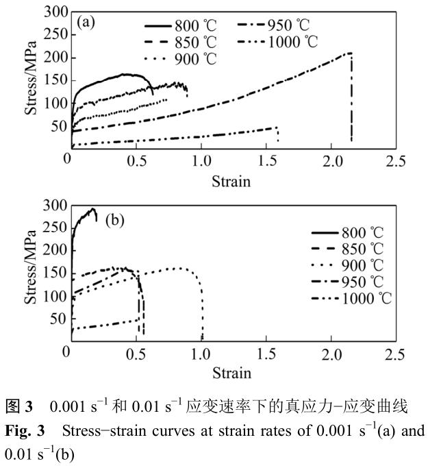 1705735472400709.jpg t3.jpg