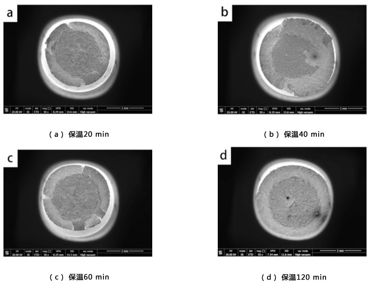 1712891785123275.jpg 4.jpg