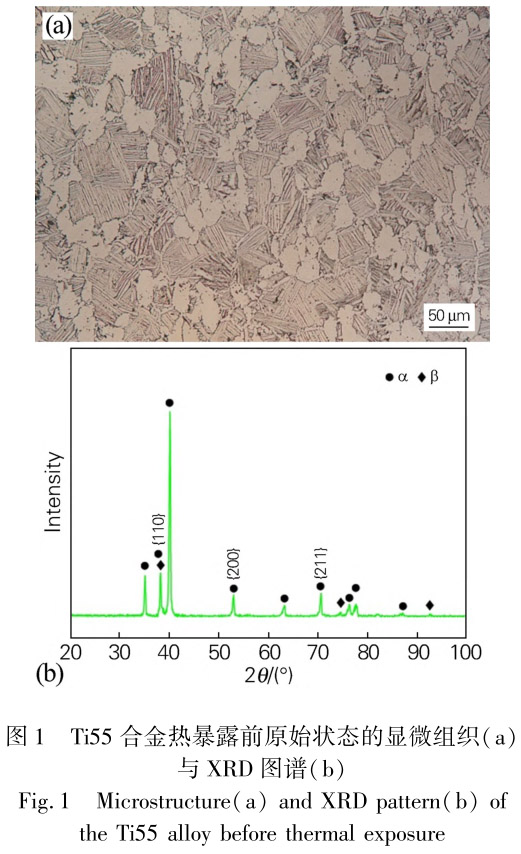 1713441075794129.jpg 未標題-1.jpg