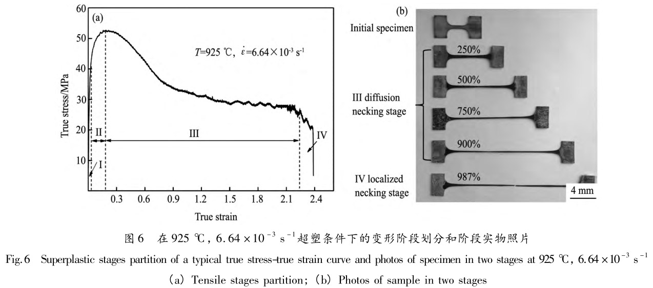 1713442904212513.jpg 未標題-6.jpg