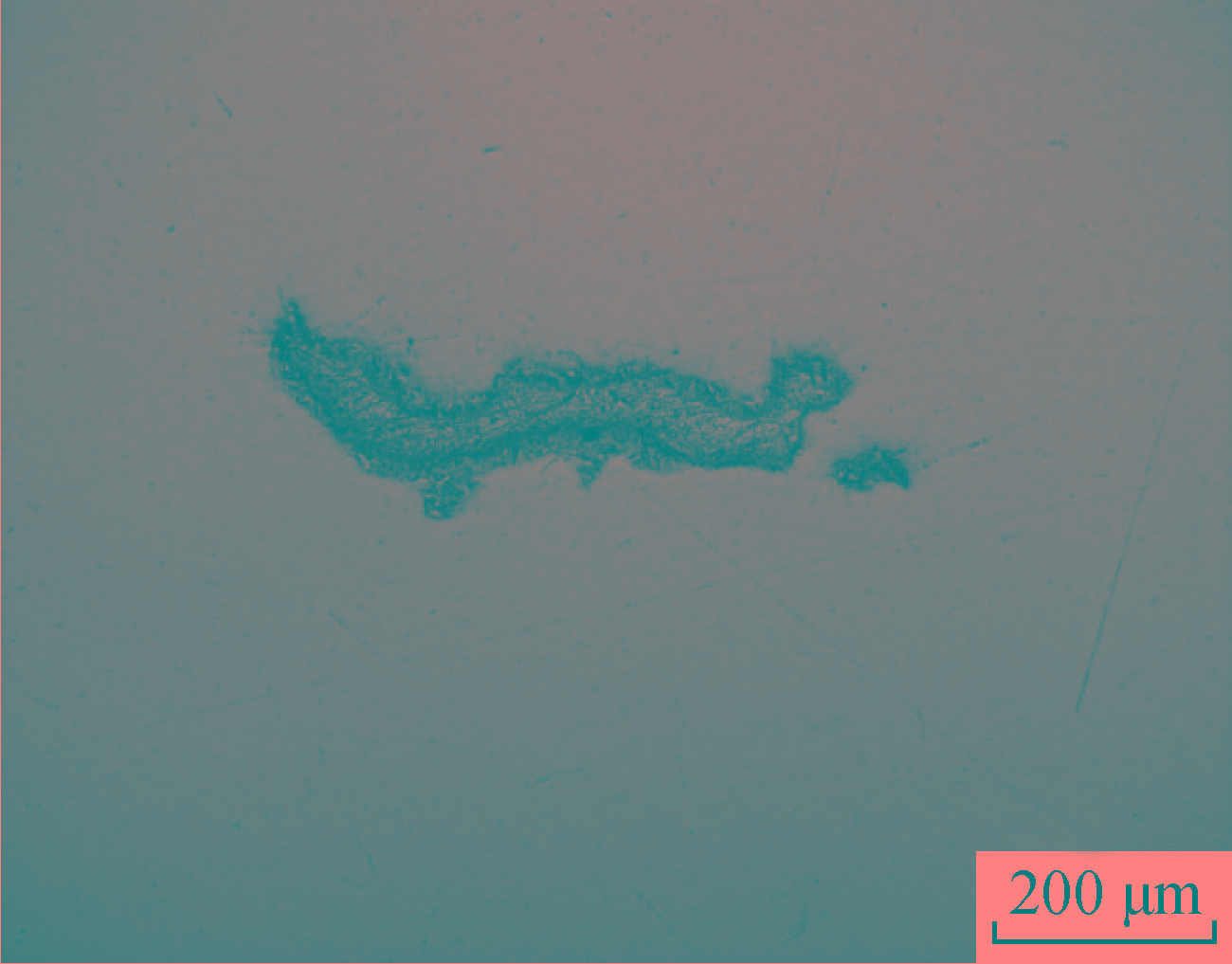 1713924168539500.jpg 5.jpg