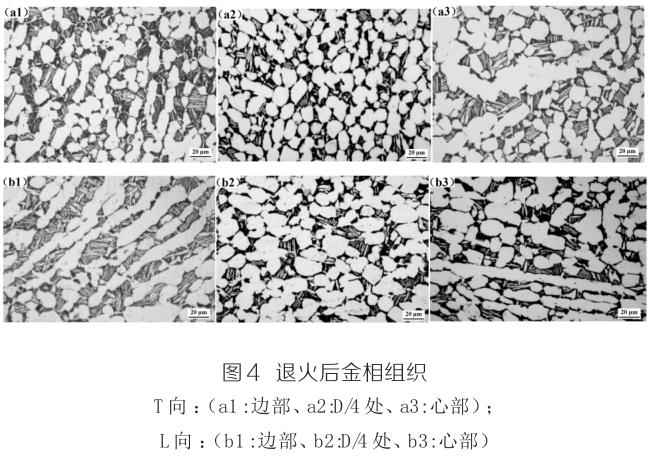 1720342407715743.jpg 360截圖16310320577970.jpg