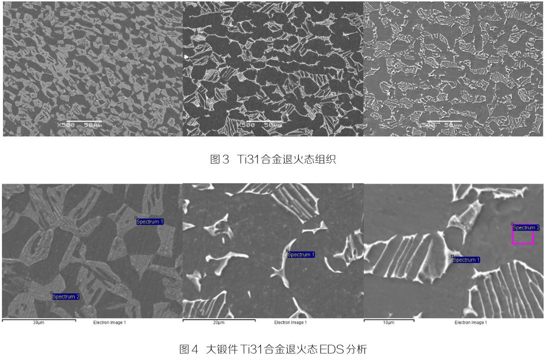 1722223043183757.jpg t3-4.jpg