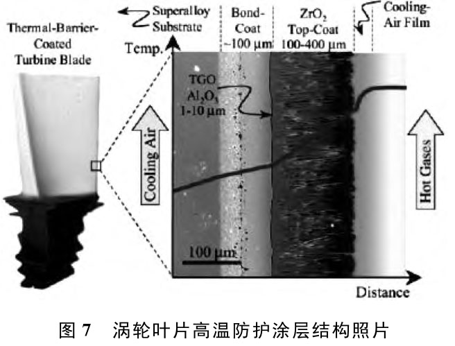 1722853020604106.jpg t7.jpg