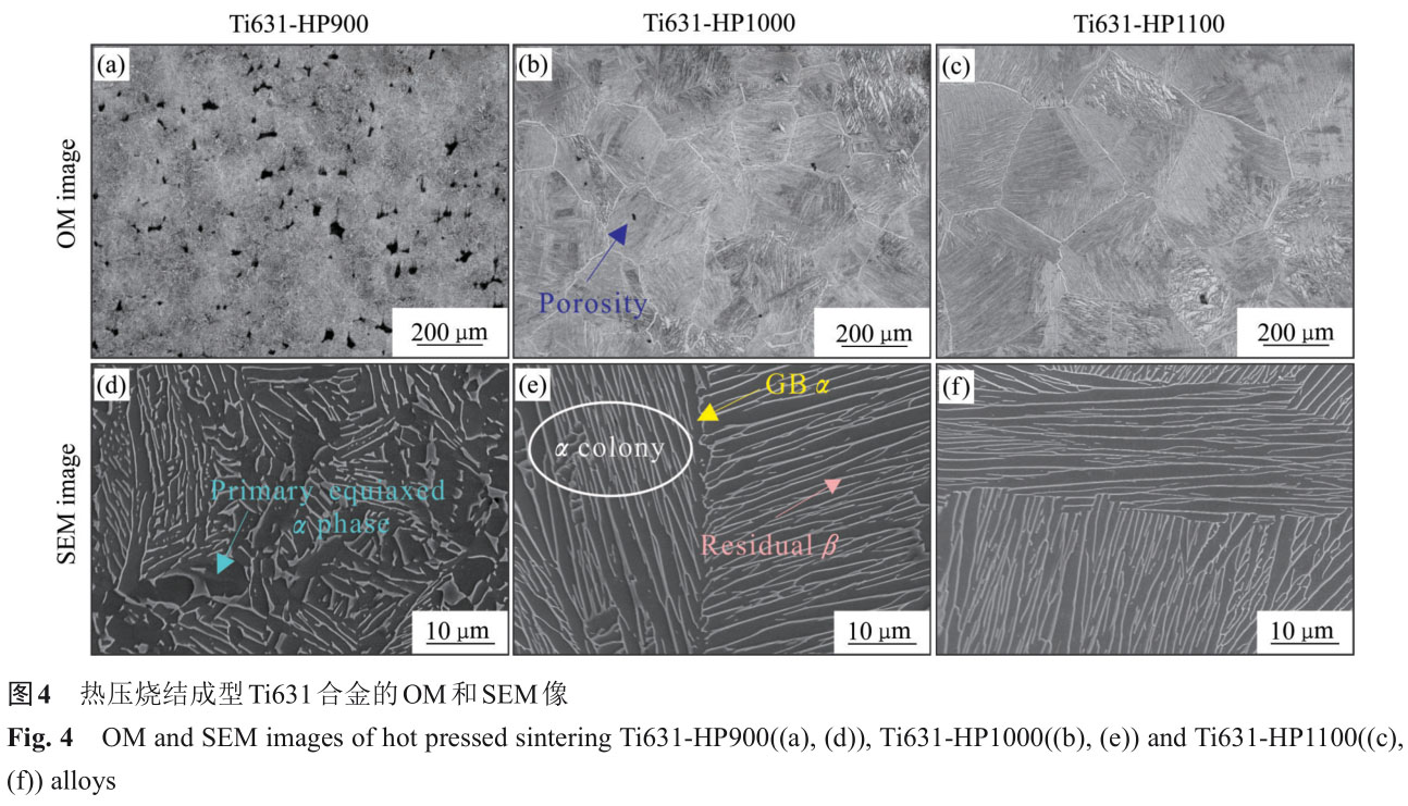 1723726213554979.jpg t4.jpg