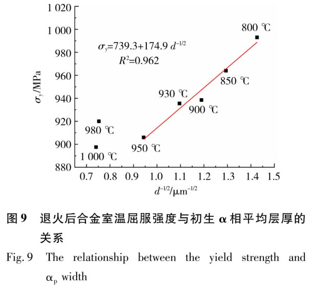 1723799287493003.jpg t9.jpg