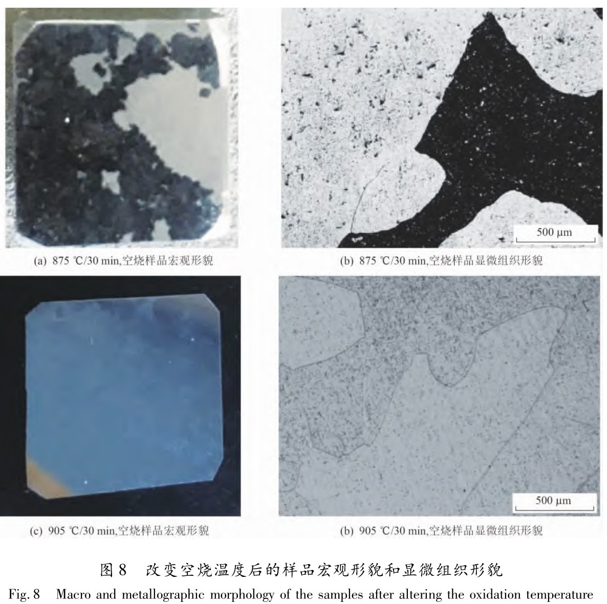 1730259139994692.jpg 8.jpg