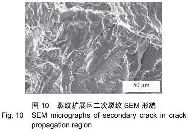 1731120080925336.png 10.png