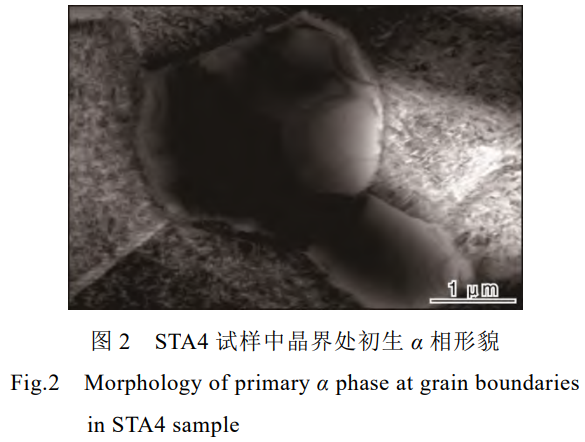 1736066943246964.png 2.png