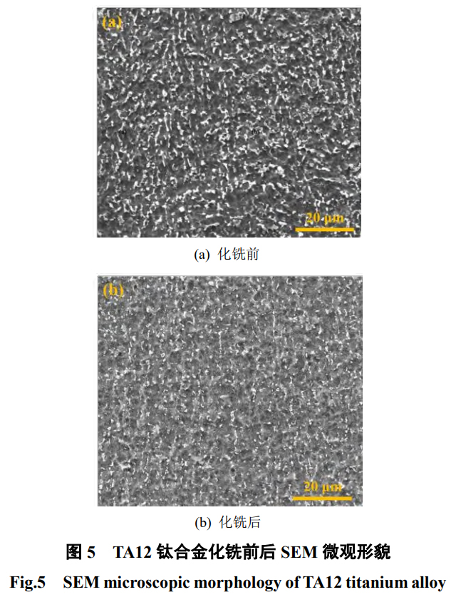 1746889044373860.jpg 5.jpg