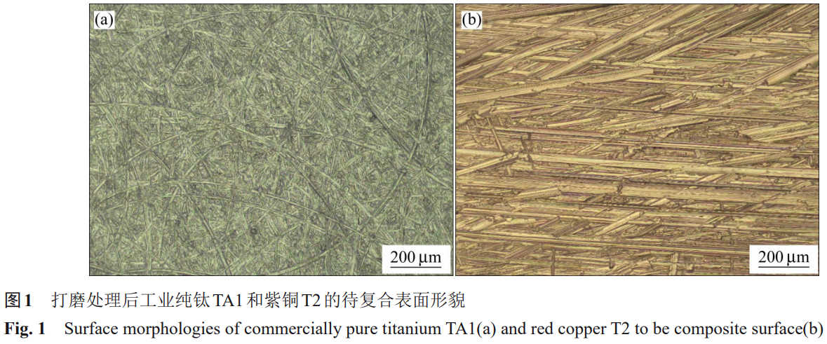 1766137392937659.png 截圖20251219165632.png